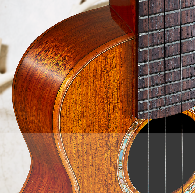 Anuenue | The Four String Strummer