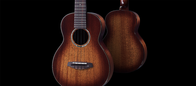 Anuenue | The Four String Strummer