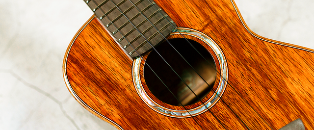 Anuenue | The Four String Strummer